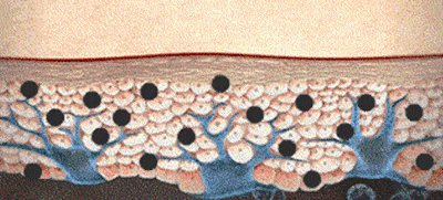 091142334332.gif 8f5c112d9c9ecf7c1100a6aad2e8e684_1704437786443477.gif
