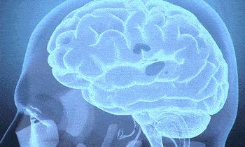 271656489703.gif 1686294237876320.gif