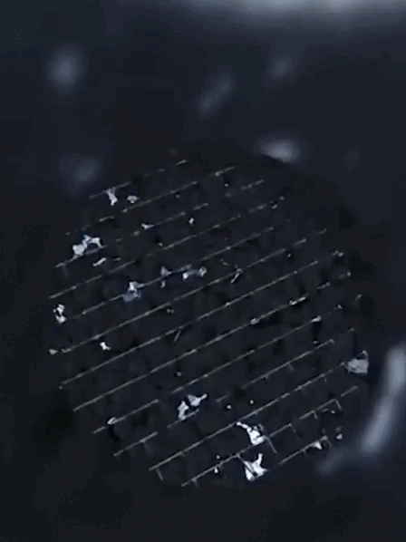 DM_20260304090150_010.GIF