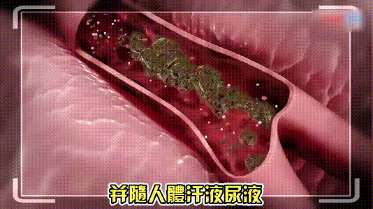 181558398263.gif