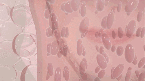 241743304866.gif
